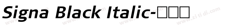 Signa Black Italic字体转换